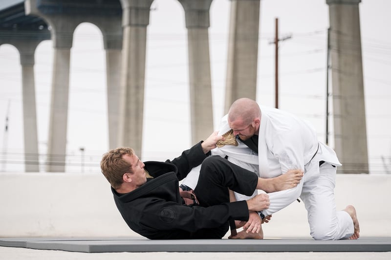Jiu-Jitsu Fighter